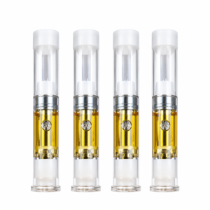 Double Blind integrated electronic pen device centered on a clean white background
