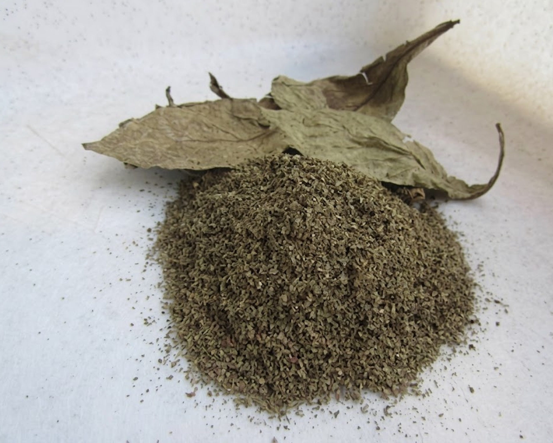 Buy Psychotria viridis (chacruna) leaves